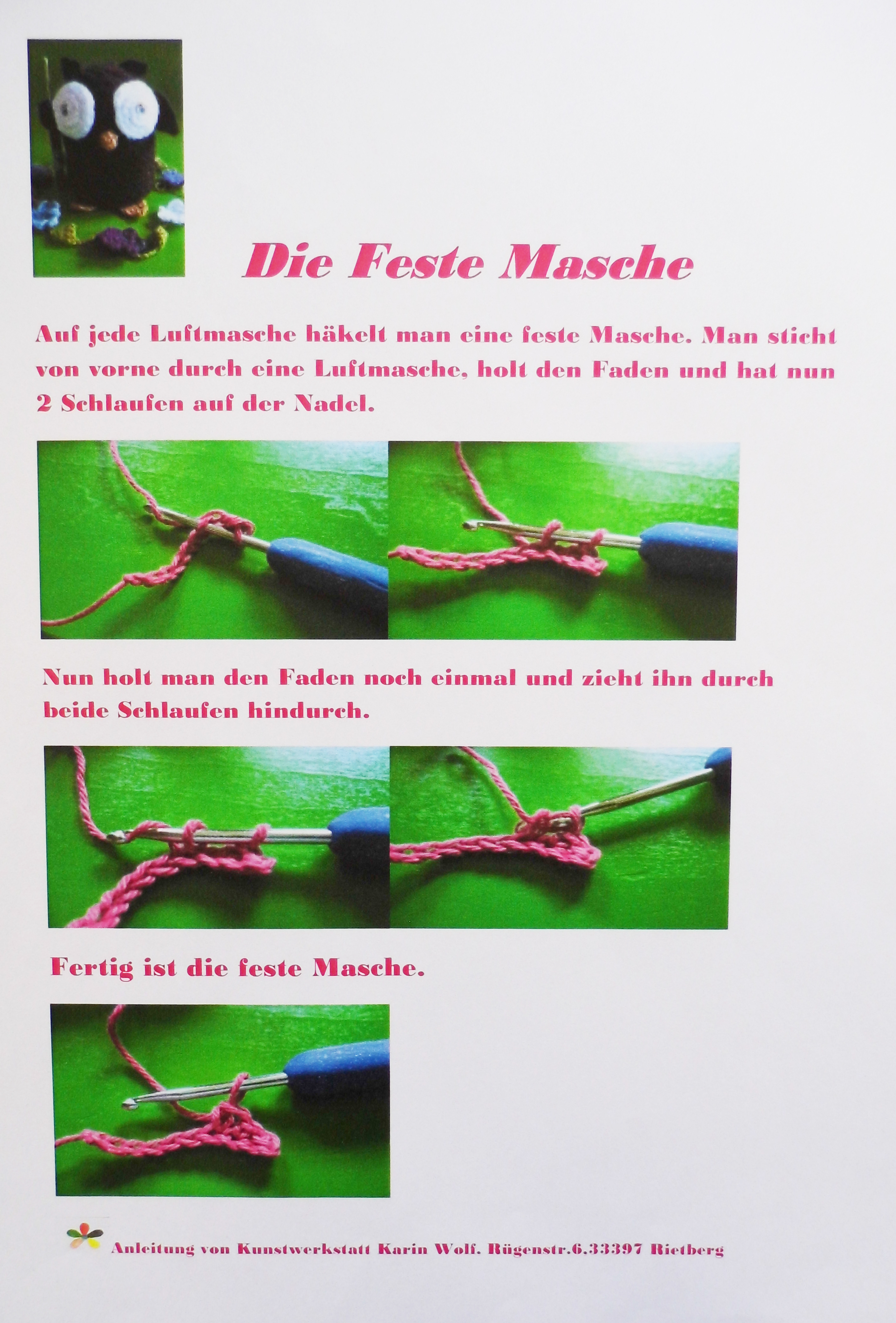 Frosch gross
